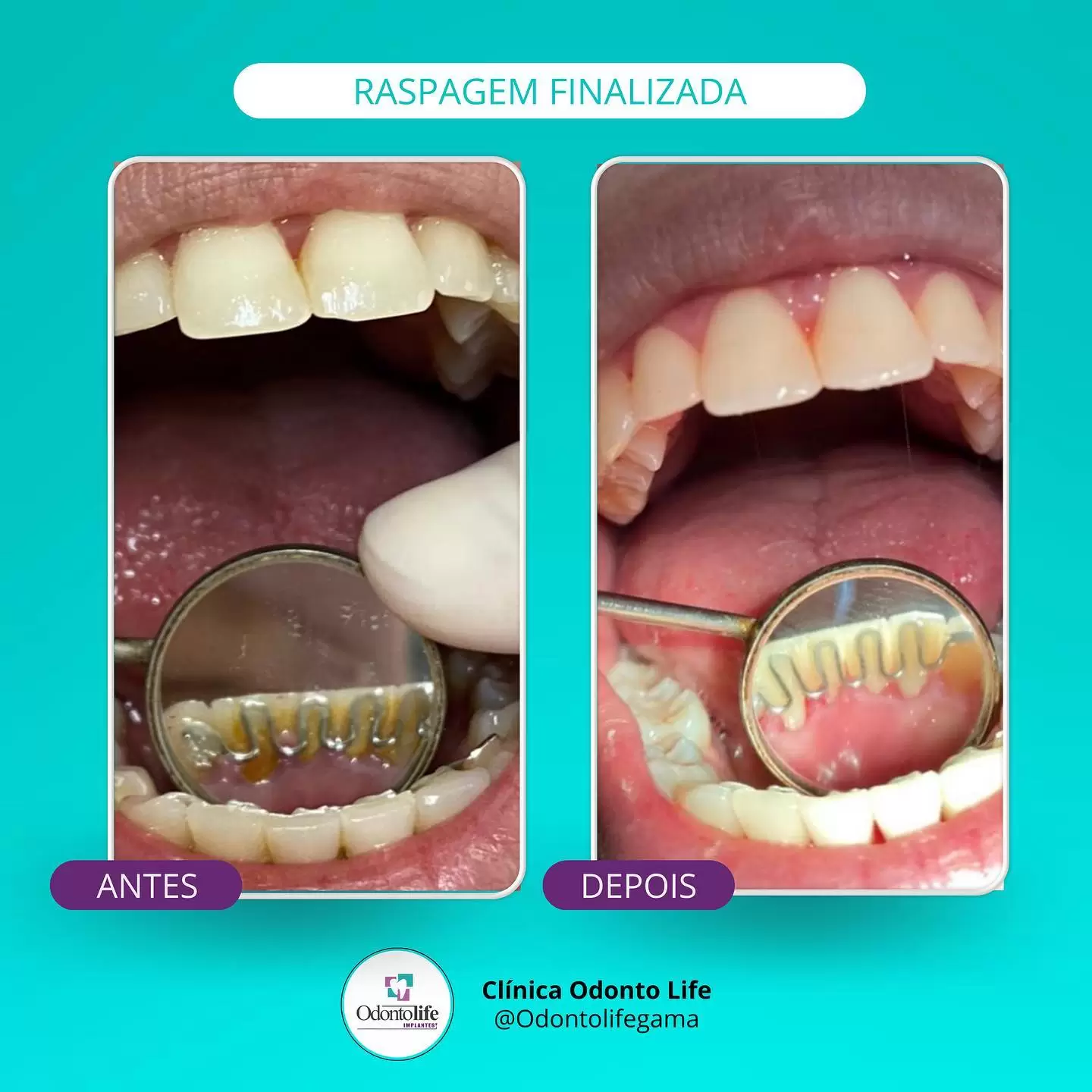 odontolifegama_1710978889525